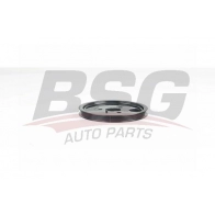 Шкив насоса гидроусилителя, Гур BSG BSG 30-371-006 1440460842 WS4BCG 9