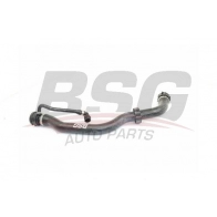 Шланг радиатора BSG 8719822117378 BSG 15-720-089 Bmw X3 (E83) 1 Кроссовер 3.0 d 204 л.с. 2004 – 2005 1TAT7Q S