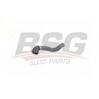 Шланг радиатора BSG 8719822130667 Fiat Doblo (263) 2 Минивэн 1.3 D Multijet 90 л.с. 2010 – 2025 BSG 25-720-024 5K JZZ5I