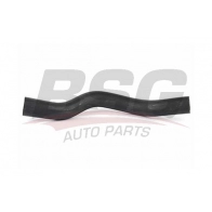 Шланг радиатора BSG 8719822028483 Ford Fiesta 6 (CB1, CCN) Хэтчбек 1.5 TDCi 75 л.с. 2012 – 2025 BSG 30-720-139 NL8 EC