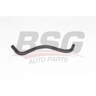 Шланг радиатора BSG R2C QXWR BSG 65-700-590 1440461141