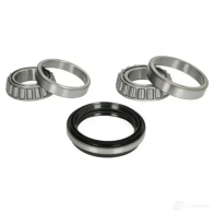 Подшипник ступицы колеса, комплект BTA 5900427490871 h11020bta D9U4 C6 3862219 - Изображение 1