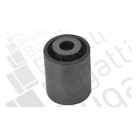 Паразитный обводной ролик ремня ГРМ BUGATTI T OEZU4 Kia Carnival (VQ) 3 2005 – 2014 BTDI5153