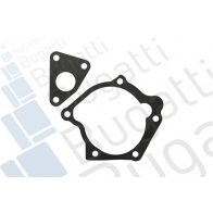 Водяной насос, помпа BUGATTI 1424860263 J4 D6PF PA10346 - Изображение 2