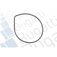 Водяной насос, помпа BUGATTI PA10379 1440285177 OXH GB - Изображение 2