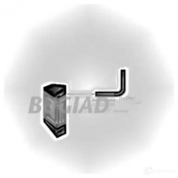 Патрубок интеркулера BUGIAD 87634 GXPX E 1502553 4043193876348