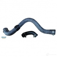 Патрубок интеркулера BUGIAD 1LP LW 82045 1437326025