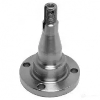 Цапфа BUGIAD 1505062 X1 L663B bsp21557