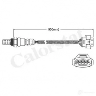 Лямбда зонд, кислородный датчик CALORSTAT BY VERNET ls140011 Opel Omega (B) 2 Седан 3.2 V6 (F69) 218 л.с. 2001 – 2003 3531650016372 89GX 5UB