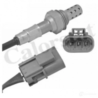 Лямбда зонд, кислородный датчик CALORSTAT BY VERNET Nissan Terrano (R20) 2 1993 – 2006 3531650016129 ls130149 YJ3K 6F