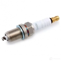 Свеча зажигания CHAMPION 557876 RC9YC O E005 OE005T10 - Изображение 2