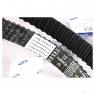 Комплект грм FORD OJ 38R 9M5Q-8B596-AAK 23143754 - Изображение 2