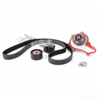 Комплект грм FORD CV2Q-8B596-AB 25590150 RG MBIS - Изображение 2
