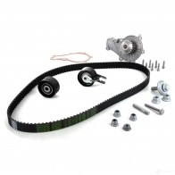 Оригинальный комплект ремня ГРМ с водяным насосом FIESTA V VI FOCUS II 1,6 TDCi FORD 25589402 GBGRW R 2008684 - Изображение 2