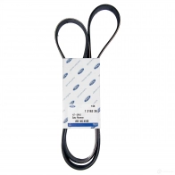 Приводной ремень, поликлиновой FORD 24019094 1316336 DCZY UUW - Изображение 1