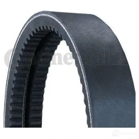 Многоручейковый ремень CONTITECH YSI T5GT 4010858510398 376044 2avx13x1475