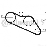 Ремень ГРМ CONTITECH CT 612 378147 326 LAH 133 ct612
