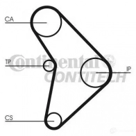 Ремень ГРМ CONTITECH 378115 ct592 STD 1216 8000M 25 CT 592 - Изображение 1