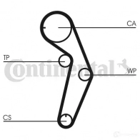 Ремень ГРМ CONTITECH HTDA 928 8000M 29 ct1048 CT1048 377724