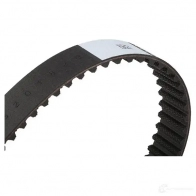 Ремень ГРМ CONTITECH ct1028 CT1021 377659 CT 948 - Изображение 2