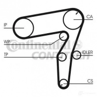 Ремень ГРМ CONTITECH ct1106 STDN 1520 8000M 24 ZZP CT1106 377867 - Изображение 2