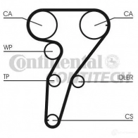 Ремень ГРМ CONTITECH ct947 STDN 1328 8000M 24 378704 CT 947 - Изображение 2
