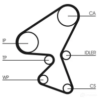 Ремень ГРМ CONTITECH K31 U0L 1437354984 ct1230 - Изображение 3