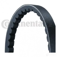 Комплект клиновых ремней CONTITECH 2xavx13x1625 376106 2XAVX13 X 1625 13 X 1625