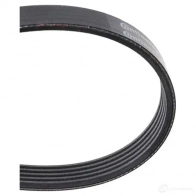 Приводной ремень, поликлиновой CONTITECH 5pk880 5 PK 879 376508 5 PK 878 - Изображение 3