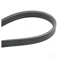 Приводной ремень, поликлиновой CONTITECH 4 PK 889 376317 4pk890 4 PK 888 - Изображение 2