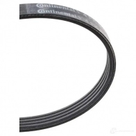 Приводной ремень, поликлиновой CONTITECH 4 PK 798 4pk800 376285 4 PK 799 - Изображение 3