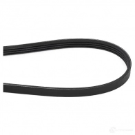 Приводной ремень, поликлиновой CONTITECH 376300 4 PK 830 ELAST 4 PK 830 4pk850elast - Изображение 2