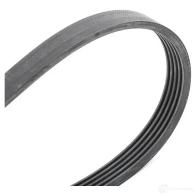 Приводной ремень, поликлиновой CONTITECH 5pk890 5 PK 889 5 PK 888 376510 - Изображение 2