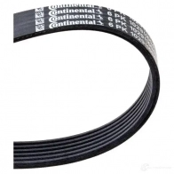Приводной ремень, поликлиновой CONTITECH 376566 6 PK 1004 ELAST 6pk1029elast 6 PK 1004 - Изображение 3
