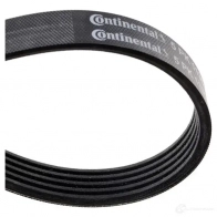 Приводной ремень, поликлиновой CONTITECH 5pk1135 5 PK 1133 5 PK 1134 376376 - Изображение 3