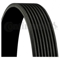 Приводной ремень, поликлиновой CONTITECH 8 PK 1254 8 PK 1253 377172 8pk1255