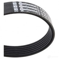 Приводной ремень, поликлиновой CONTITECH 6 PK 1373 6pk1374 376678 6 PK 1372 - Изображение 3