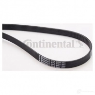 Приводной ремень, поликлиновой CONTITECH 6 PK 2402 376937 6 PK 2403 6pk2404 - Изображение 5
