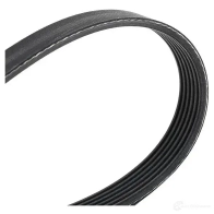 Приводной ремень, поликлиновой CONTITECH 6 PK 1855 376822 6 PK 1854 6pk1856 - Изображение 3