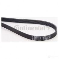 Приводной ремень, поликлиновой CONTITECH 6pk2260 6 PK 2258 376908 6 PK 2259 - Изображение 2