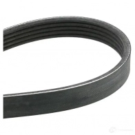 Приводной ремень, поликлиновой CONTITECH 5pk836 376500 5 PK 835 5 PK 834 - Изображение 2
