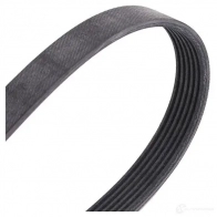 Приводной ремень в комплекте CONTITECH 6 PK 830 ELAST 6 PK 830 6pk842elastt1 376996 - Изображение 4
