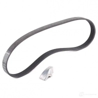Приводной ремень в комплекте CONTITECH 6 PK 830 ELAST 6 PK 830 6pk842elastt1 376996 - Изображение 6