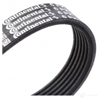 Приводной ремень в комплекте CONTITECH 376558 6 PK 1019 (1004) 6 PK 1019 6pk1019elastt2 - Изображение 7
