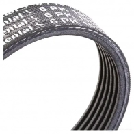 Приводной ремень в комплекте CONTITECH 6PK1 555 376721 6pk1555k2 69F3O - Изображение 5
