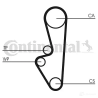 Приводной ремень в комплекте CONTITECH 6DP K1195 6dpk1195k1 WIL3N9 376536 - Изображение 8