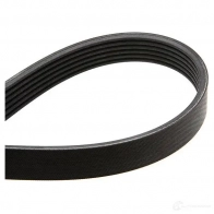 Приводной ремень в комплекте CONTITECH YF5MQ 1193540405 6pk1698k1 6PK1 698 - Изображение 5