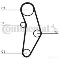 Приводной ремень в комплекте CONTITECH 5pk1150k1 376382 5PK11 50 A49WZ - Изображение 8