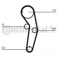 Приводной ремень в комплекте CONTITECH QCG3B 5PK 1135 5pk1135k2 1193538689 - Изображение 8