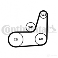 Приводной ремень в комплекте CONTITECH 6pk1033elastt1 Ford Fiesta 6 (CB1, CCN) Хэтчбек 1.2 5 82 л.с. 2008 – 2024 6 PK 1033 6 PK 1033 (1009)